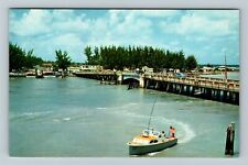 St Petersburg FL-Florida, John's Pass, Fishing, Vintage Postcard picture