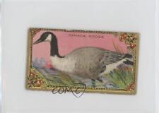 1910 ITC of Canada Game Bird Series C14 Canada Goose #14 z6d picture