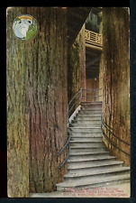 1909 AYPE Alaska Yukon Expo WA Forestry Building Historic Vintage Postcard M694 picture