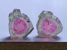 12 CT PERFECT WATERMELON TOURMALINE POLISHED SLICES FROM  AFGHANISTAN picture