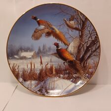 Winter Wonder By David Maas And Danbury Mint Collectible Plate F7723 picture