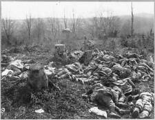 Large groups of dead (French?) soldiers lying in field,c1915,World War I,c1915 picture