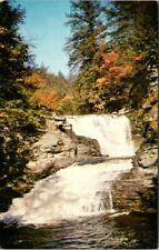 Second of Five Winona Falls Pocono Mountains Pennsylvania Vintage Postcard picture