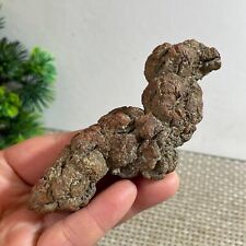 136g Rare Dinosaur Coprolite Dung Poop Rough Mineral Specimen Madagascar  h340 picture