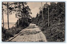 c1905 Pretty Drive Along Traverse Bay Road Michigan MI Souvenir Mail Postcard picture