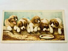 Antique “Newsboy” Plug Tobacco Weaning Puppies Where Is Mother Trade Card #396 picture