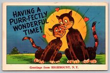 Postcard Vtg Humor Comic Funny Having A Purrfectly Wonderful Time picture