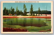 Yellowstone National Park MT - Emerald Pool - Hot Spring - Curt Teich - 1935 picture