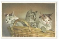 CPA ILLUSTRATION CATS, CATS picture