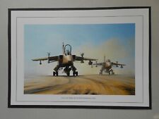 MILITARY AVIATION PRINT-  CATS IN THE MIDDAY SUN BY MARK POSTLETHWAITE picture
