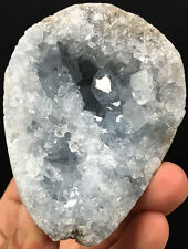 298g Sky Blue CELESTITE Flashy Gem Crystals Inside a Geode Madagascar  ip0037 picture