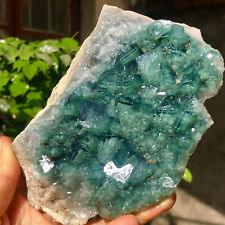 482G  Natural Green FLUORITE Quartz Crystal Cluster Mineral Specimen picture