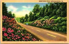 POSTCARD C.1930'S GREETINGS FROM TAPPAHANNOCK, VIRGINIA picture