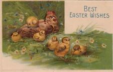 Easter Postcard Chicken and Baby Chicks Best Easter Wishes  picture