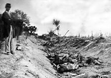 Confederate Dead Bloody Lane Antietam Sharpsburg - 8x10 Civil War Photo picture