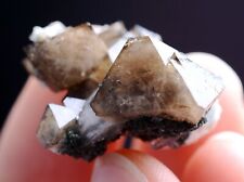 12g Natural Rare Scheelite & Crystal Mineral Specimen/ Yaogangxian China picture
