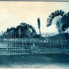 c1910s Singapore Reservoir Cyanotype Litho Photo Postcard Palm Tree Fence A51 picture
