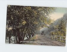 Postcard The Old Tow Path Near Binghamton New York USA picture