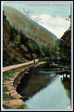 Postcard Fishing In The Catskill Mts. Westkill NY W44 picture