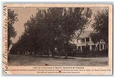 1911 One Of Carlsbad's Shady Residence Streets Advertising Malaga NM Postcard picture