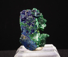 Malachite ps. Azurite/ 3.4cm Fine Pseudo Mineral Specimen / Tsumeb Mine, Namibia picture