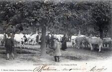 CPA 18 CHATEAUMEILLANT LE FIELD DE FAIR (back not divided) (BEAUTIFUL CPA WITH ANIMA picture