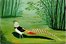 Postcard Lady Amherst Pheasant Pittsburgh Aviary Allegheny Commons C11 picture
