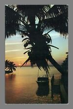 Postcard Chrome The End Of A Perfect Day Sunset Coconut Palm Trees Florida picture
