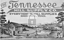Tennessee Mill Supply Co Knoxville TN Reprint Postcard picture