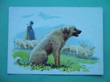 USSR 1972 Dog Caucasian Shepherd. Artist Aristov. Soviet postcard. picture