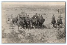 c1910's Military Maneuvers Horse Wagon Southern USA Texas TX RPPC Photo Postcard picture