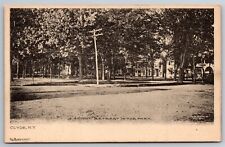 A Cool Retreat In The Park Clyde NY C1900's UDB Postcard R20 picture