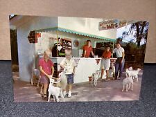 Tommy Bartlett’s Deer Ranch Florida Postcard￼ picture