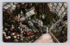 Chicago IL-Illinois, Conservatory Scene, Lincoln Park, Vintage c1908 Postcard picture