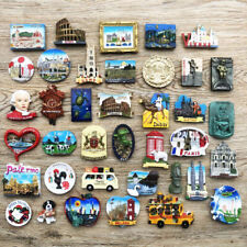 American Asian European Tourism Travel Souvenir 3D Resin Fridge Magnet Artwork picture
