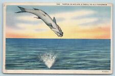 Postcard FL Florida Tarpon Fish In Mid Air Thrill to All Fishermen c1930s AA5 picture