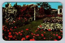 Newark NY-New York, Section Of Jackson & Perkins Rose Garden, Vintage Postcard picture