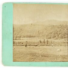 Springville New York Farm Stereoview c1875 Concord Erie County Landscape A2718 picture