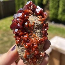 Vanadinite with Large Crystals - 180g - Exceptional Mineral Specimen picture