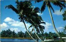 Whispering Palms Florida Postcard PM Miami FL Cancel WOB Note VTG Koppel 2c picture