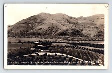 Postcard RPPC California Porterville CA Success Valley Orange Grove Mine 1910s picture