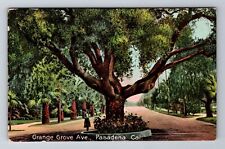 Pasadena CA-California, Orange Grove Avenue, Antique Vintage Souvenir Postcard picture