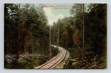 Antique Postcard Shady Shore Chautauqua Lake Railroad Track  1908 RR Train picture