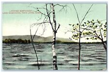 1913 Looking Northwest Lake Washining Twin Lakes Connecticut CT Posted Postcard picture