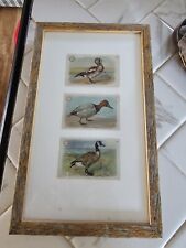 THREE Framed Vintage Victorian Era  Duck Trade Cards picture