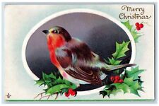 Hanska Minnesota MN Postcard Christmas Song Birds Holly Berries Embossed c1910's picture