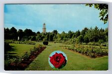 Westfield MA- Massachusetts, Rose Garden At Stanley Park, Vintage Postcard picture