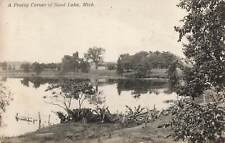 Rare RPPC 1920 Grand Rapids Michigan A Pretty Corner Of Sand Lake Postcard picture