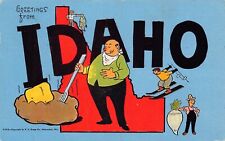 1948 Idaho ID Greetings From Larger Not Large Letter Chrome 14619-CM.9 Postcard picture