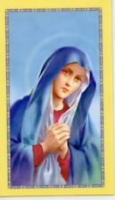 PRO LIFE PRAYER - Laminated  Holy Cards.  QUANTITY 25 CARDS picture